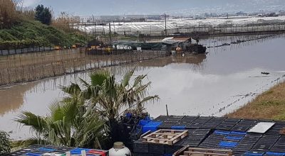 Primi interventi urgenti di protezione civile in conseguenza degli eccezionali eventi meteorologici verificatisi nei giorni dal 16 al 23 gennaio 2023 – ISTRUTTORIA E LIQUIDAZIONE DEI CONTRIBUTI