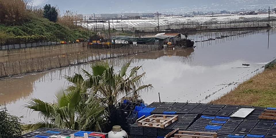 EMERGENZA ALLUVIONE GENNAIO 2023