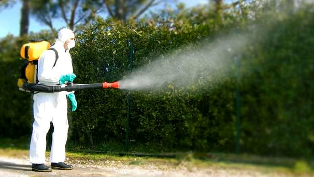AVVISO PUBBLICO – Disinfestazione area esterna Palazzetto dello Sport