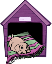 INDAGINE DI MERCATO  PER L’AFFIDAMENTO DEL SERVIZIO DI RICOVERO, CUSTODIA E MANTENIMENTO DEI CANI RANDAGI, CATTURATI SUL TERRITORIO COMUNALE DI SAN MARZANO SUL SARNO