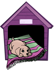 INDAGINE DI MERCATO  PER L’AFFIDAMENTO DEL SERVIZIO DI RICOVERO, CUSTODIA E MANTENIMENTO DEI CANI RANDAGI, CATTURATI SUL TERRITORIO COMUNALE DI SAN MARZANO SUL SARNO