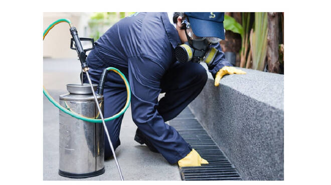 TRATTAMENTO DI DERATTIZZAZIONE – 14.03.2024