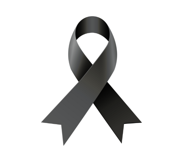 Morte di Papa Francesco